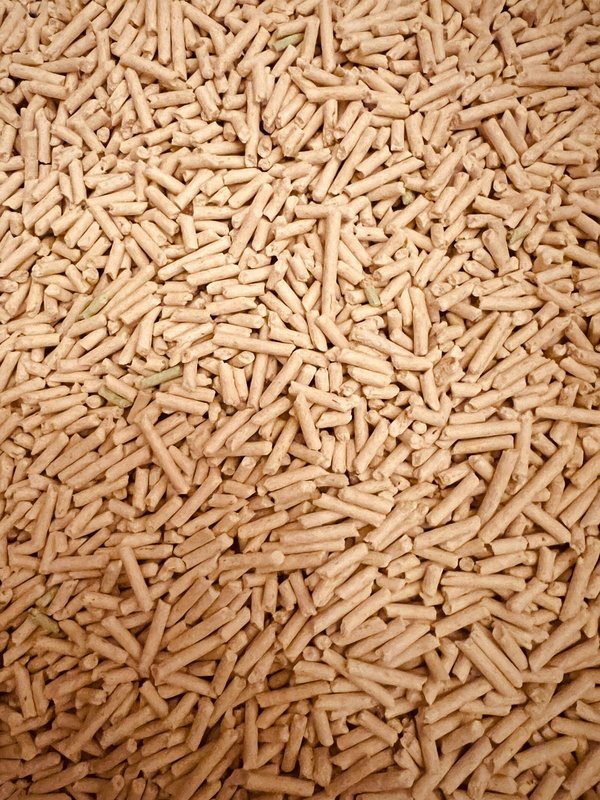 Pellets de bois : performance et économies à portée de main
